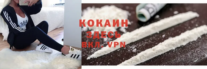 Cocaine FishScale  ссылка на мегу ссылки  Яровое 